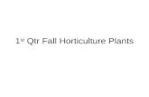 1st Qtr Horticulture Plants