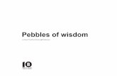 Pebbles of Wisdom by Steve Price