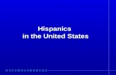 Census Hispanic Profile