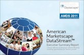 Geoscape   American Marketscape Datastream 2011 Executive Summary