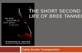 The short second life of bree tanner