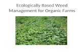 Southern SAWG - Weed Management