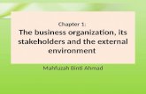 Chapter 1 F1 Accountant in Business