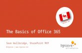 The Basics of Office 365