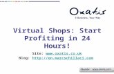 Virtual Shops : Start Profiting In 24 Hours