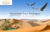 Rajasthan tour packages, Holidays in Rajasthan