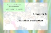 Ch 6- Consumer Perception