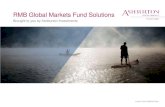 Ashburton Investments rmb