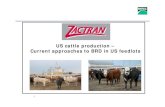 9. us cattel production current approaches to brd in us feedlots