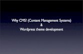 Content Management Systems (CMS) & Wordpress theme development