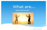 What are data networks?
