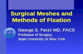 Surgical Meshes and Methods of Fixation
