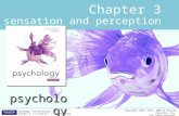 PSYC1101 - Chapter 3, 4th Edition PowerPoint