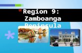 Region 9   zamboanga peninsula