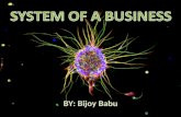 System of a Business