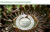 Kiva microfinance  custom slides