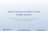 Web Communications in the Public Sector