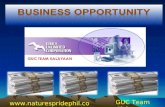 GUC Business Opportunity