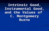 Intrinsic good and instrumental good