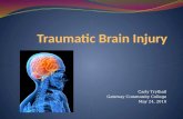 Traumatic Brain Injury Power Point