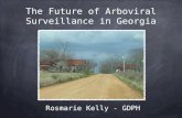The Future of Arboviral Surveillance in Georgia