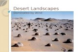 Desert landscapes dominated by wind