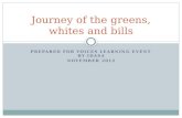 Journey of the Greens, Whites and Bills