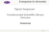 Evergreen in Armenia