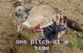 ONE PITCH AT A TIME