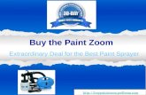 Buy the Paint Zoom