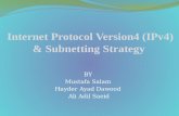 IP Addressing & subnetting strategy
