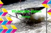 Whitewater slalom by rodrigo (1)