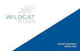 Wildcat Silver October Investor Presentation