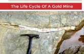 The life Cycle Of A Gold Mine