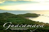Guacamaya overview book feb 2009