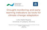 Drought Monitoring and Early Warning Indicators by Lucka Bogataj, University of Ljubljana, Slovenia