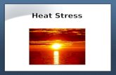 Heat Stress Training