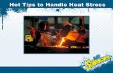 Hot Tips on How to Handle Heat Stress
