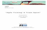 Agile Testing: It’s a Team Sport