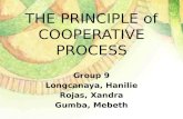 Principle of cooperative process