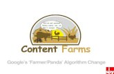 Google Farmer Update aka Panda - What You Need to Know
