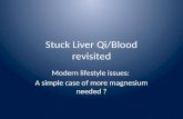Stuck Liver Qi/Blood and Magnesium deficiency correlation