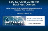 Seo Survival Guide for Business Owners