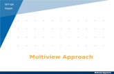 Multiview Methodology