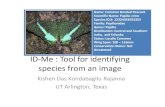 ID-Me - Tool to identify species