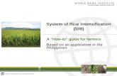 0844 System of Rice Intensification (SRI): A 'How to' Guide for Farmers