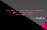 Overview of intellectual property rights and copyright and