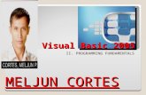 MELJUN CORTES Visual Basic 2005  Programming Fundamentals