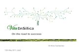 VitaInSilica - On the road to success.
