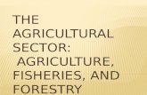 The agricultural sector2